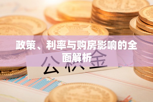荔湾政策、利率与购房影响的全面解析