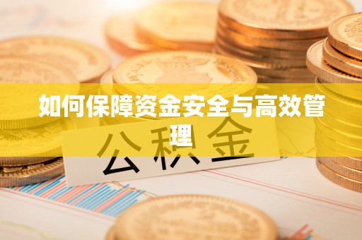 荔湾如何保障资金安全与高效管理