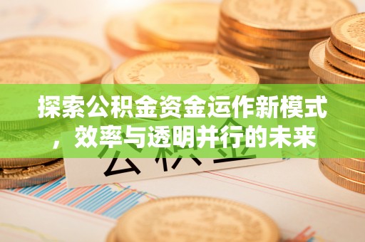 荔湾探索公积金资金运作新模式，效率与透明并行的未来