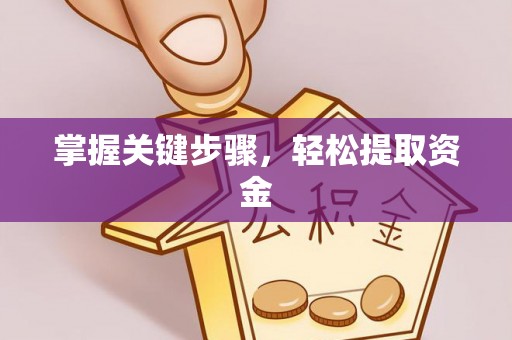 荔湾掌握关键步骤，轻松提取资金