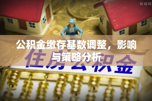 荔湾公积金缴存基数调整，影响与策略分析