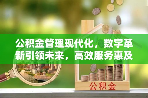荔湾公积金管理现代化，数字革新引领未来，高效服务惠及民生