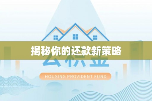 荔湾揭秘你的还款新策略