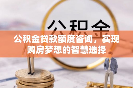 荔湾公积金贷款额度咨询，实现购房梦想的智慧选择