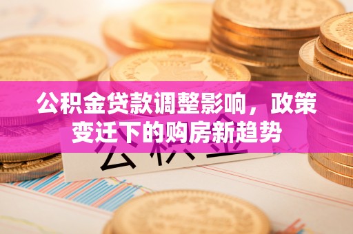 荔湾公积金贷款调整影响，政策变迁下的购房新趋势