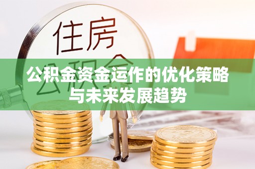 荔湾公积金资金运作的优化策略与未来发展趋势