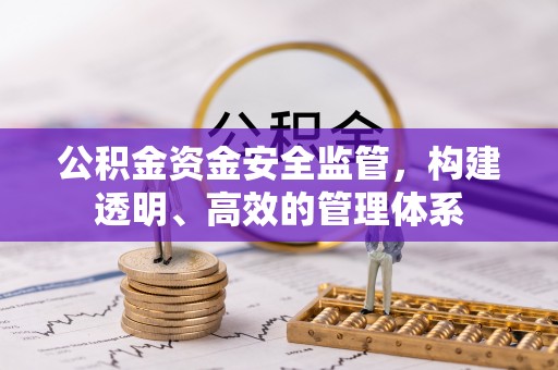 荔湾公积金资金安全监管，构建透明、高效的管理体系
