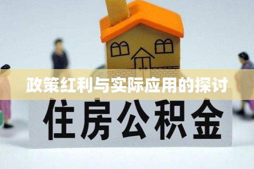 荔湾政策红利与实际应用的探讨