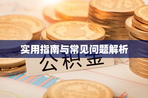 荔湾实用指南与常见问题解析
