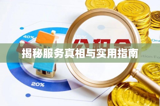 荔湾揭秘服务真相与实用指南