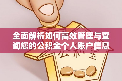 荔湾全面解析如何高效管理与查询您的公积金个人账户信息