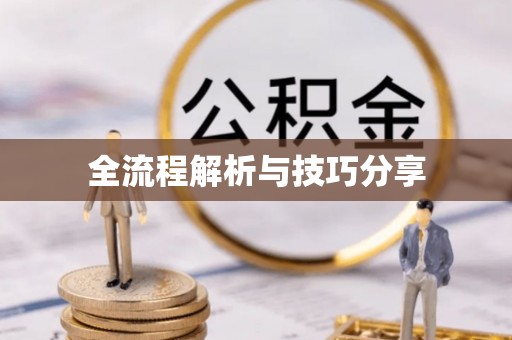 荔湾全流程解析与技巧分享